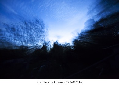 Abstract Blurred Trees Background