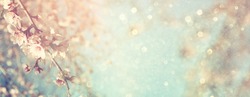 Abstract Blurred Website Banner Background Of Of Spring White Cherry Blossoms Tree. Selective Focus. Vintage Filtered With Glitter Overlay