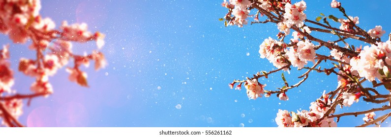Abstract Blurred Website Banner Background Spring Stock Photo 556261162 ...