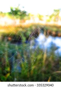 abstract blurry background