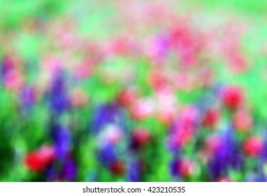 Abstract blurry image of a field with spring flowers