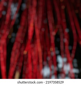 Abstract Blurry Photo Of Red Tree Roots