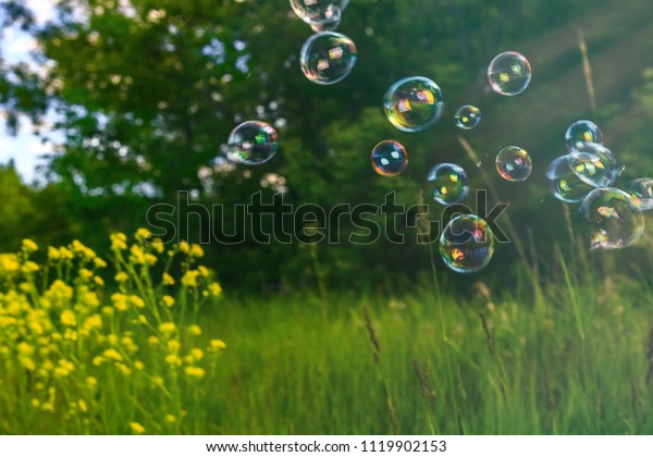 Abstract Blurry Soap Bubbles Field Sunset Stock Photo (Edit Now) 1119902153