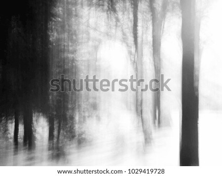 Similar – Image, Stock Photo Many shadows Tree Forest