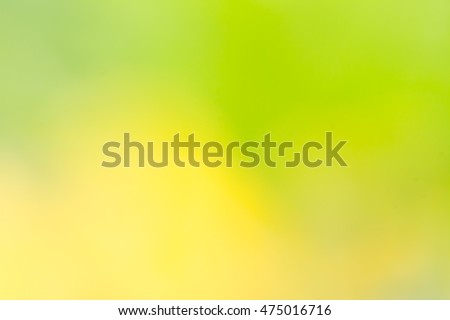 Abstract Blurry yellow with green nature background 