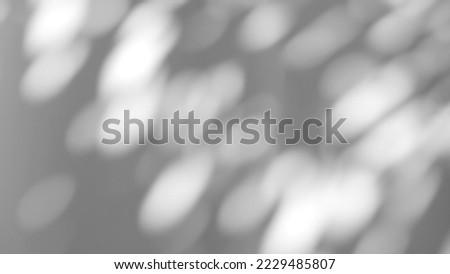 Abstract bokeh natural shadow overlay on white texture background, for overlay on product presentation, backdrop and mockup