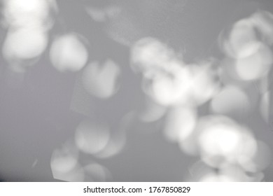 abstract bokeh of shadows leaf tree on a white wall texture background. - Shutterstock ID 1767850829