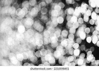Abstract Bokeh, White Round Out Of Focus Water Glare.