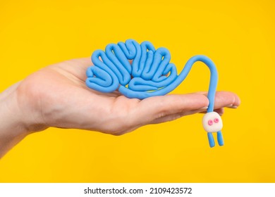 Abstract Brain With Electric Plug. Mental Activity. Creativity, A New Idea. Turn On Your Brain. Brain Attack. A Woman Holds A Model Of A Human Brain In The Palm Of Her Hand. 
