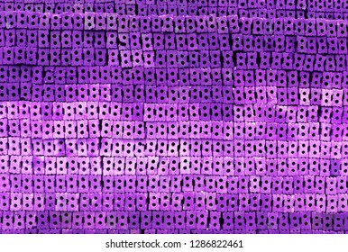 Abstract brick wall stack background with pruple filter