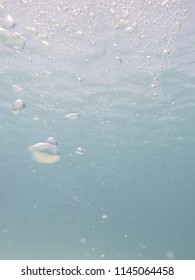 abstract bubble background