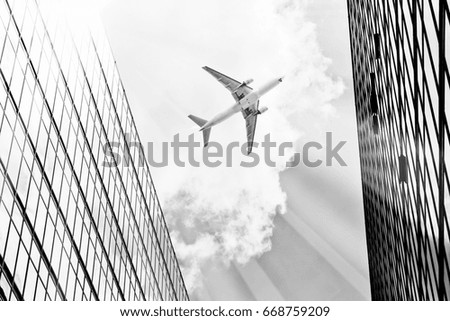 Similar – Image, Stock Photo a bird comes flying Bird