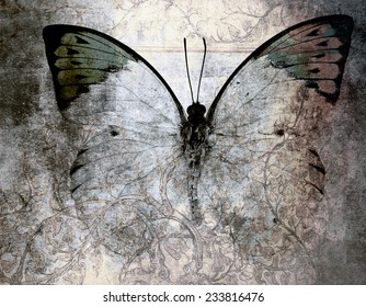 abstract Butterfly Background 