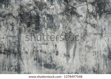 Similar – Image, Stock Photo confused Autumn Winter