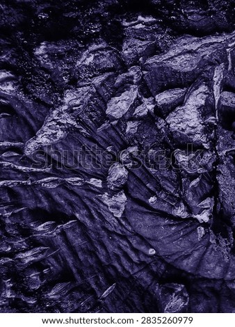 Abstract close up texture of rough tree bark edited in dark purple and indigo tone. Grunge organic surface with deep wrinkles, cracks, and peeling layers. Dark moody background with copy space. Concept for abstract, fantasy, sci-fi, horror, grunge, and design element.