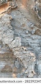 Abstract close up of weathered tree bark displaying intricate natural textures and cracked organic details for creative backgrounds.