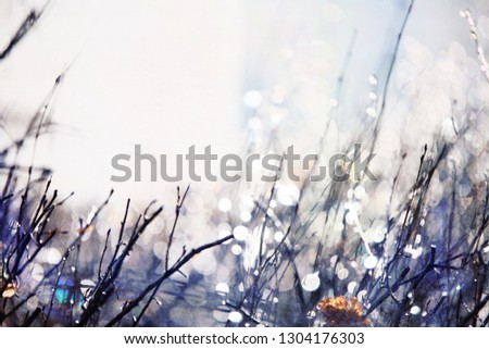 Foto Bild Schnee und Eis Landschaft