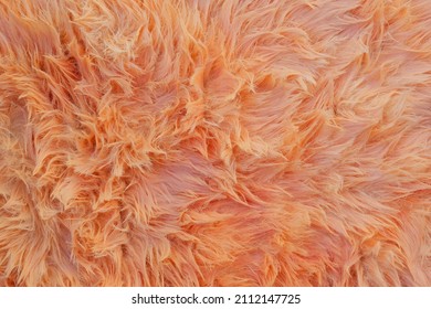 Abstract Close-up Orange Fur Texture Background