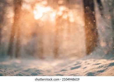 Abstract Closeup Winter Nature, Snowing Against Sunset Light Defocused Background. Selective Focus Shallow Depth Of Field. Dream Inspire Frozen Winter Forest Ground. Bokeh Tress And Calm Nature View