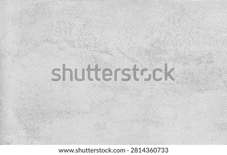 Abstract cloudy stone or paper texture in pale grey tones provides a clean, minimalist background suitable for elegant design projects.
Why people choose this photo: The neutral, premium looking texture appeals to buyers creating high end branding materials, invitations, or luxury product backgrounds.