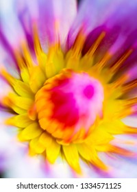 Abstract colored background close up. Macro. flowers and petals