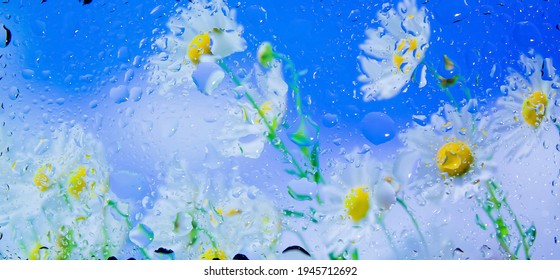 Abstract Colorful Background, Abstract Colorful Background With Bubbles, Water Drops On A Glass, Colorful Flower Background With Water Drops, Hd Colorful Abstract Wallpaper