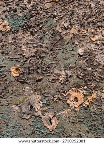 An abstract composition featuring scattered, thick paint fragments and smears in vibrant reds, yellows, blues, and purples resting on a textured greenish surface. The image evokes a sense of raw creativity, spontaneity, and the tactile beauty of dried pigments and layered brushstrokes.