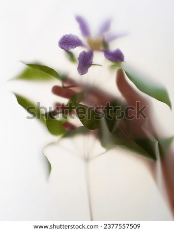 Abstract composition with flowers and touching hands in soft blurred filter. Original composition with gentle touch