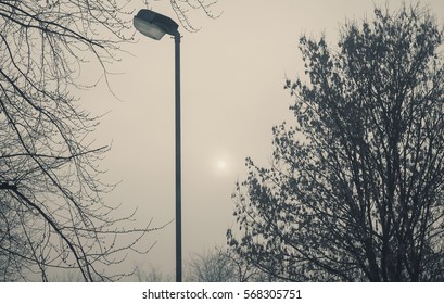 Abstract composition of an old lamp in park.