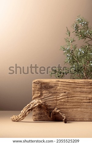 Abstract composition of old wooden plank and juniper branch. Neutral beige background for cosmetic, beauty product branding, and spa concept. Natural pastel colors. Copy space, front view.