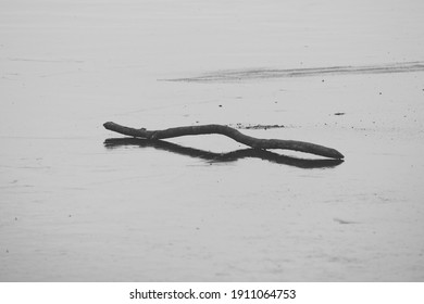 Abstract Composition Of A Single Wooden Stick On Surface Of A Lake Covered With Ice