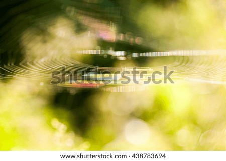 Similar – Image, Stock Photo blue hour Nature Plant Air