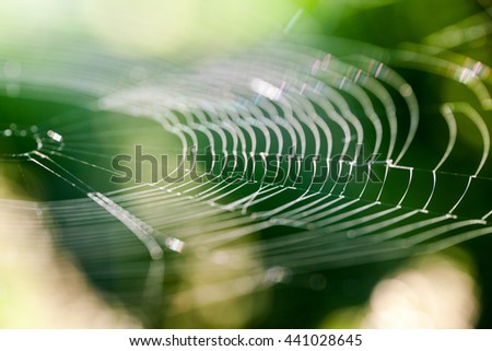 Similar – Colorful Nature Macro Photography.Web Banner for Design.Art.