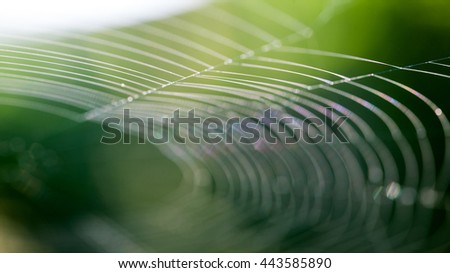 Image, Stock Photo blue hour Nature Plant Air