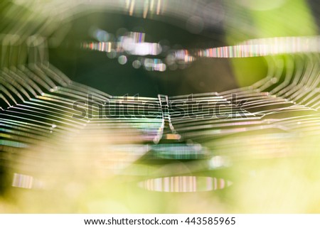 Image, Stock Photo abstract shapes with branches in nature