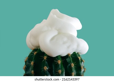 Abstract concept of shaving with shaving foam on top of a cactus, on a green background 