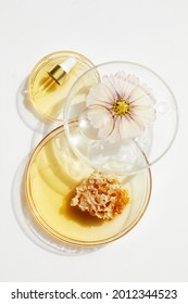 Abstract Cosmetic Laboratory. Chemical Laboratory Research. Nature Cosmetics With Honey.