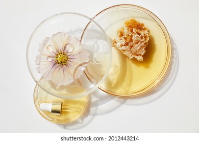 Abstract Cosmetic Laboratory. Chemical Laboratory Research. Nature Cosmetics With Honey.