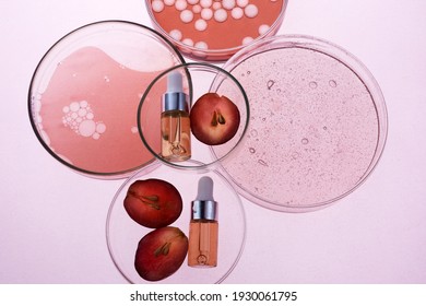 Abstract cosmetic laboratory. Organic bio cosmetic with grapes seeds oil and herbal ingredients. Top view