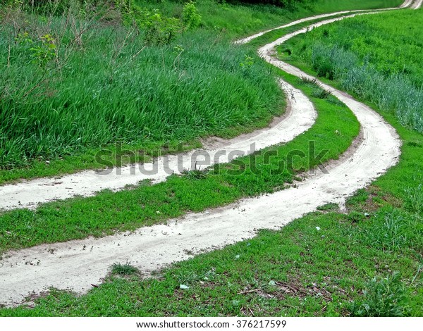 abstract curved road, path line on green\
meadow, summer nature\
diversity