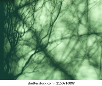 Abstract dark green shadows with chaotically intertwining lines of varying intensity. They resemble algae under water. Turquoise neon background. Shadow of tree branches on smooth surface.
