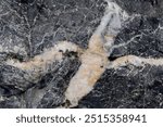 Abstract dark grey of stone grunge textures with white quartz strip background.