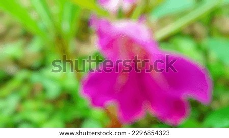 Abstract defocus and background of almost dead flowers