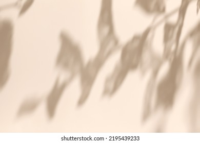 Abstract diagonal tree leaves shadows on solid beige wall texture. Abstract trendy colored nature light concept background. Copy space for text overlay, poster mockup, flat lay, top view - Shutterstock ID 2195439233