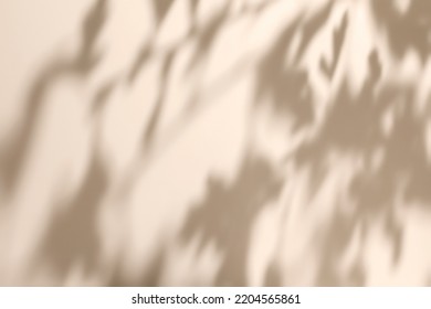Abstract diagonal tree leaves shadows on solid beige wall texture. Abstract trendy colored nature light concept background. Copy space for text overlay, poster mockup, flat lay, top view - Shutterstock ID 2204565861