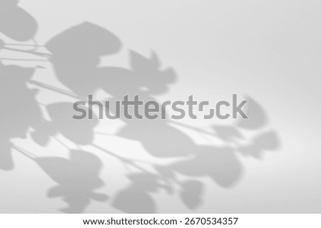 Abstract diagonal tree leaves shadows on solid grey wall texture. Abstract nature light concept background. Copy space for text overlay, poster mockup, flat lay, top view