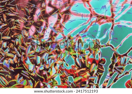 abstract drawing, composite photo, fantastic plot, motley color, fantasy, allegory, mosaic, fantasy flowers, bouquet, background, Valentine's Day