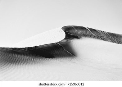 Abstract Dune Ridge, High Key Effect, Black And White,rub Al Khali Desert.