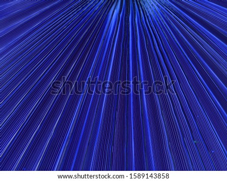 Abstract fantom blue background convergent rays