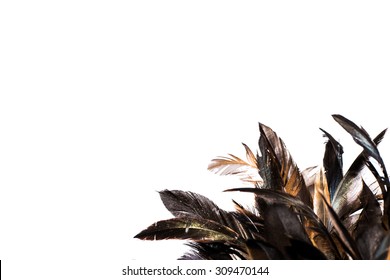 Abstract Of Feather, Feather Of Chicken Frame